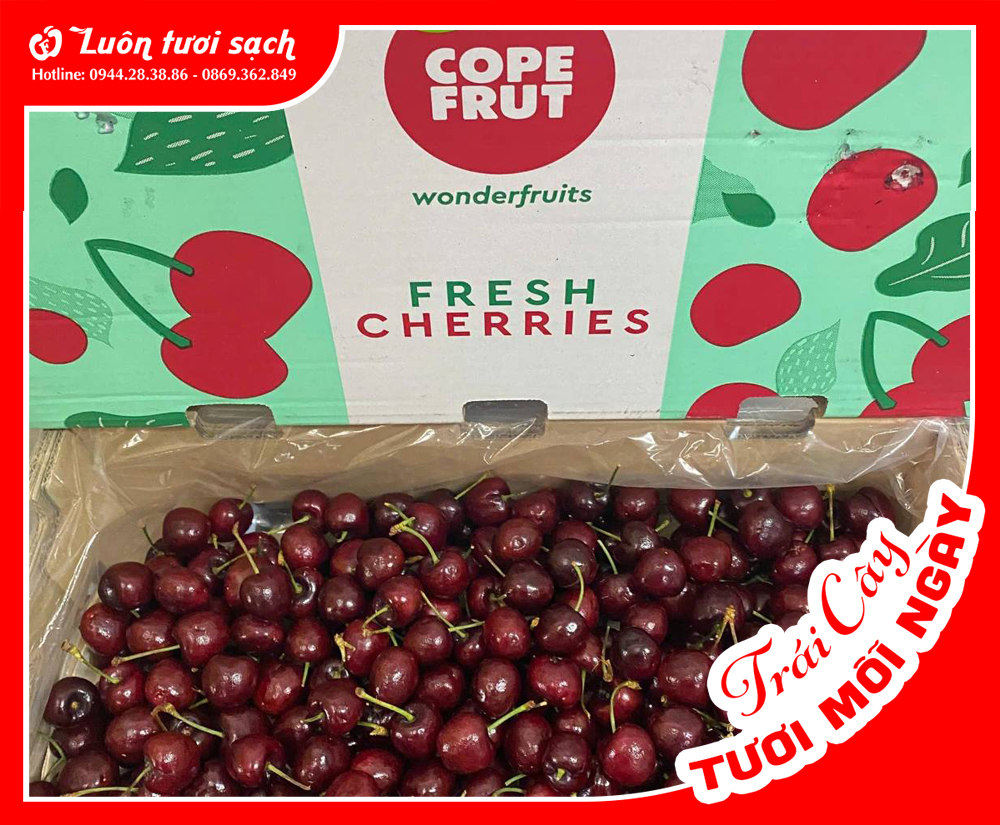 Cherry Chile nguyên thùng 5kg